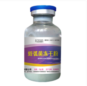 德迪7號(hào) 德迪7號(hào)